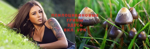 дмт Арсеньев