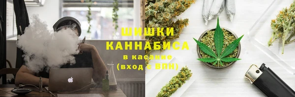 дмт Арсеньев