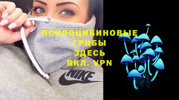 дмт Арсеньев