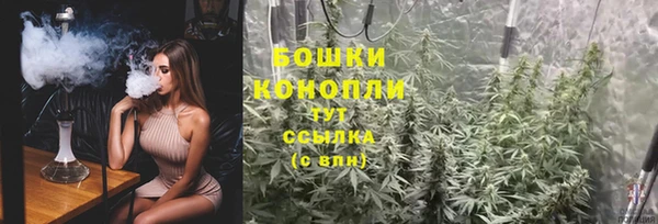 дмт Арсеньев