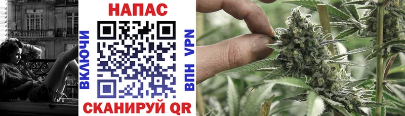 Бошки Шишки семена  купить наркотики цена  Гаджиево 